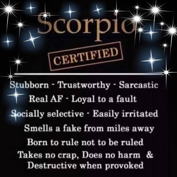 Meet your Posher, Aisha - Picture 1 of 1